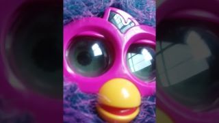 Furby glitching lol